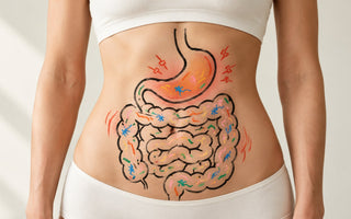 Bauch einer Frau mit aufgemalter Illustration von Magen und Darm, der Magen ist rot hervorgehoben und farbige Bakterien zeigen die Darmflora