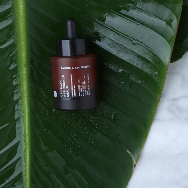 Eine Tropfflasche aus dunklem Glas mit der Aufschrift Cellular Resilience ruht auf einem großen, glänzend grünen Blatt mit Wassertropfen. Im Hintergrund ist ein Teil einer weißen Marmorfläche zu sehen.