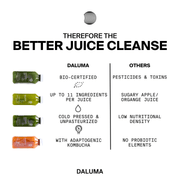 ALKALINE JUICE CLEANSE - 3 DAYS