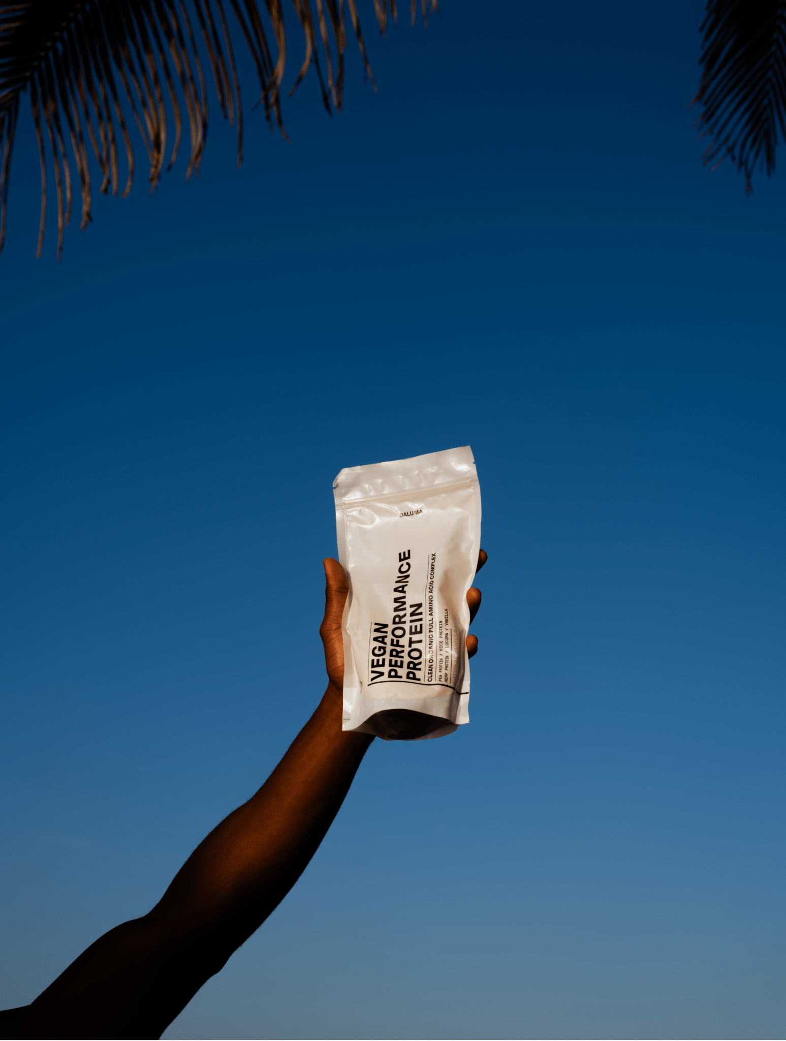Eine Hand hält ein weißes Paket mit der Aufschrift DALUMA PERFORMANCE DUO KAKAO vor einem strahlend blauen Himmel hoch, auf dem Palmenwedel zu sehen sind - pflanzliches Eiweiß für effektiven Muskelaufbau.