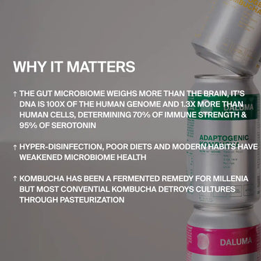Das RAW KOMBUCHA DISCOVERY SET von DALUMA unterstreicht die Bedeutung der Darmgesundheit für Immunität und Serotonin und zeigt, wie seine probiotischen Kulturen das Wohlbefinden unterstützen - im Gegensatz zu pasteurisierten Varianten, die diese Vorteile möglicherweise verringern.
