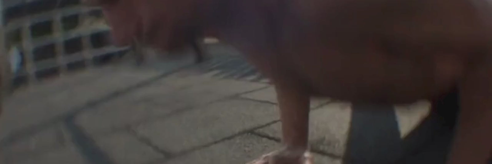 Eine Person macht einen Liegestütz im Freien auf einer gepflasterten Fläche, wobei der Fokus auf dem Oberkörper und der Hand liegt; das Bild ist leicht unscharf und aus einem niedrigen Winkel aufgenommen.